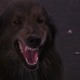 Day of the Animals came out in 1977, meaning it predates Cujo by a few years...but not Jaws.
